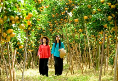 Ben Tre Mekong - Orchard