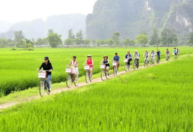 Ninh Binh Biking Tours